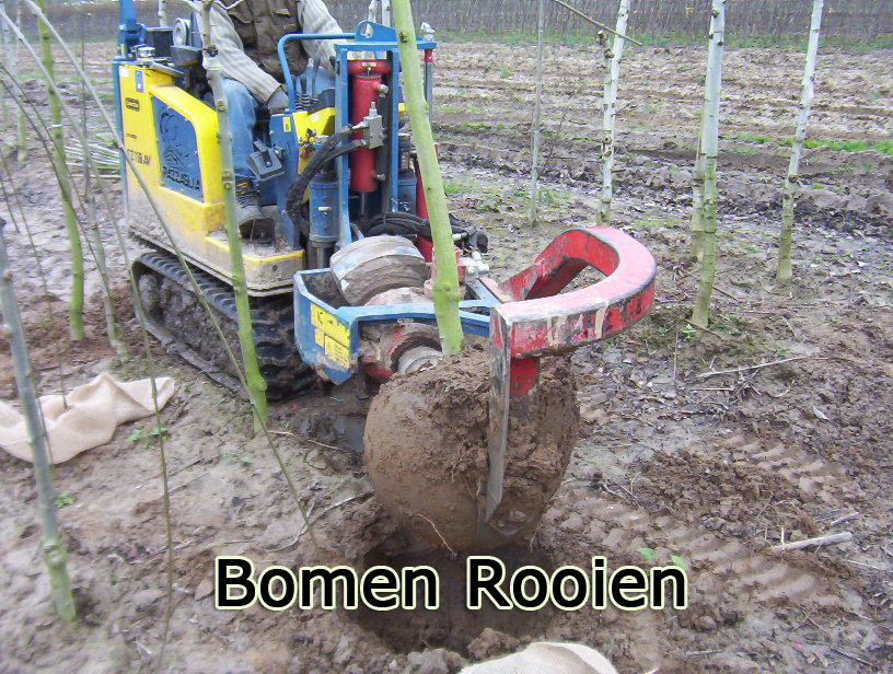 bomen rooien